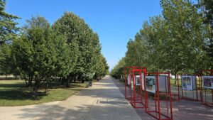 bibliotecauniversitaria_2