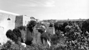 cittàdellamusica_1