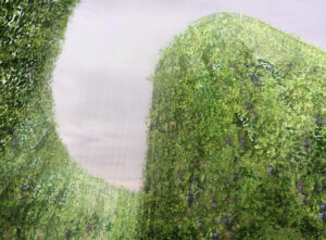 microinterventipanzano_4