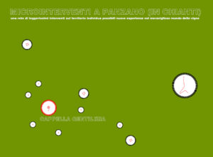 microinterventipanzano_6