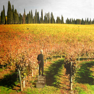 microinterventipanzano_7
